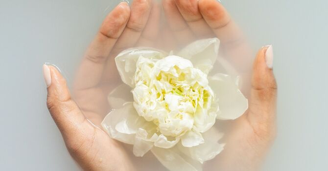 Clinic Address has Changed, Contact Us for the New Location image