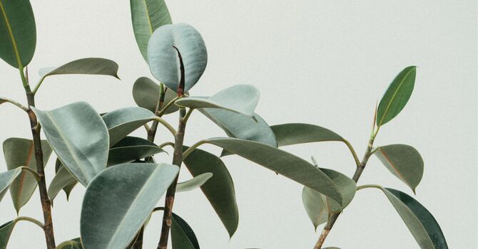 Clinic Address has Changed, Contact Us for the New Location image