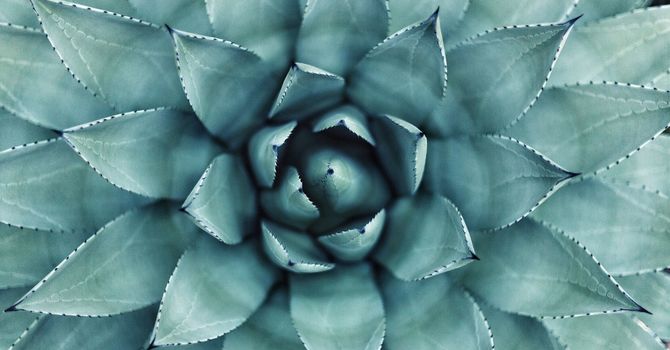 Clinic Address has Changed, Contact Us for the New Location image